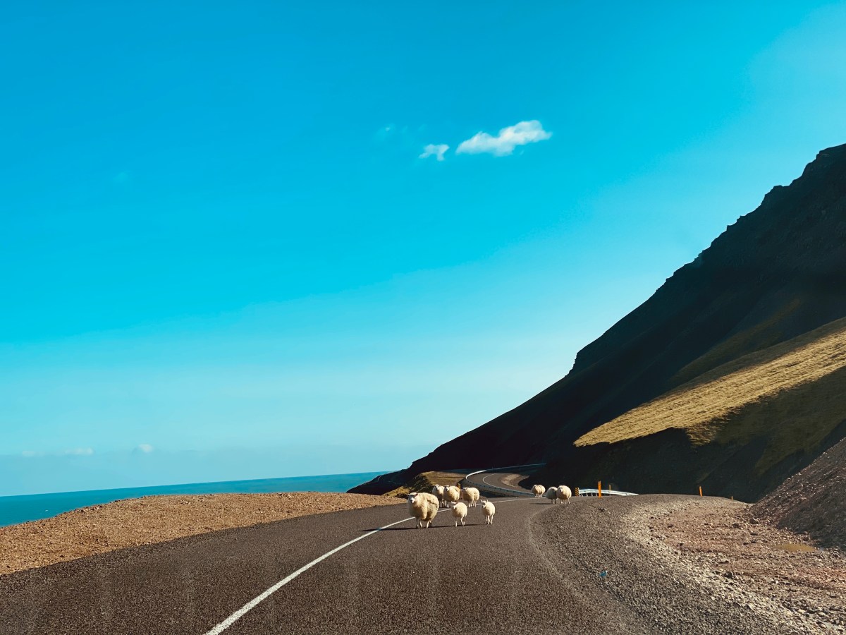 Cuarentena para viajar a Islandia