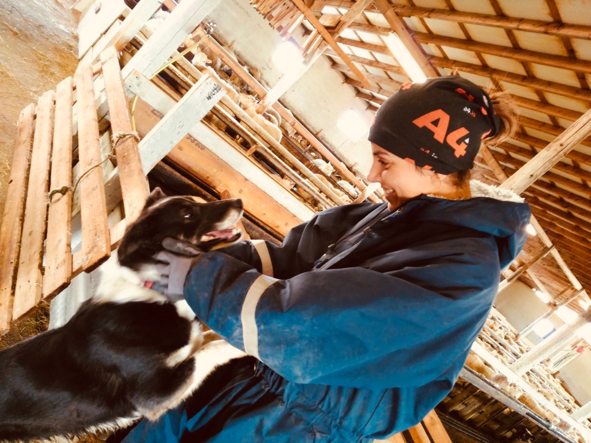 Cómo me enamoré de Islandia: mi historia de viaje inolvidable